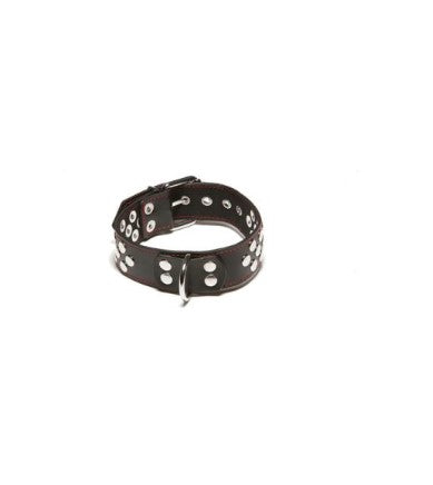 X-PLAY COLLAR WITH D-RING