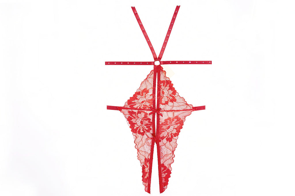 Lilly Teddy